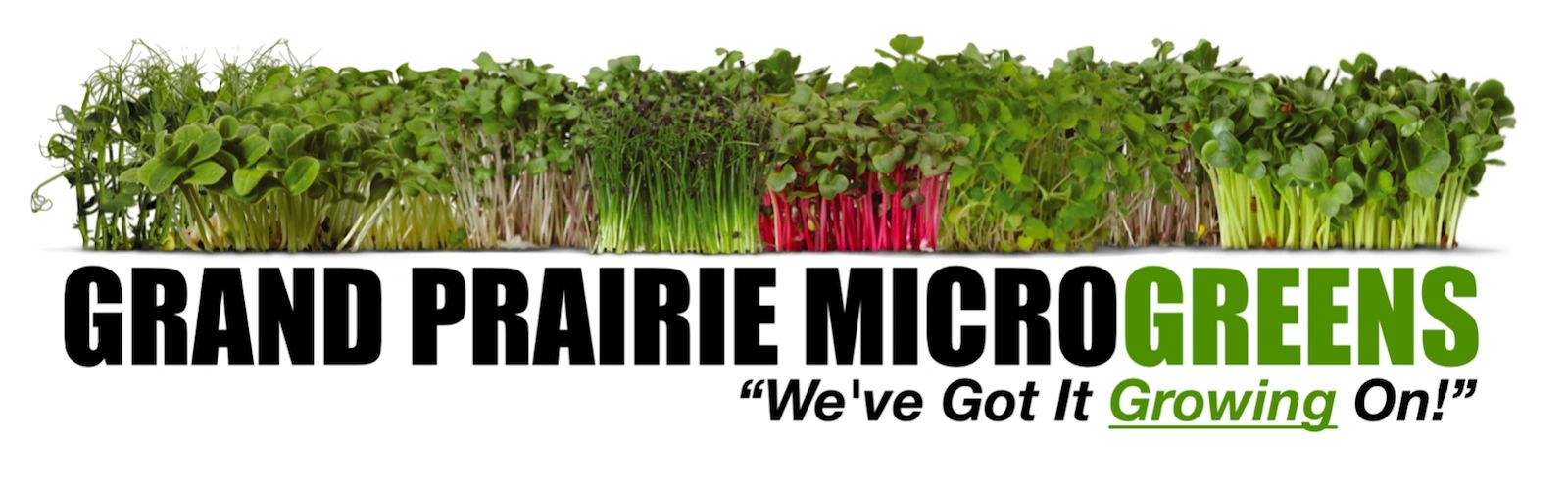 GRAND PRAIRIE MICROGREENS LLC Microgreens, Dallas Ft. Worth